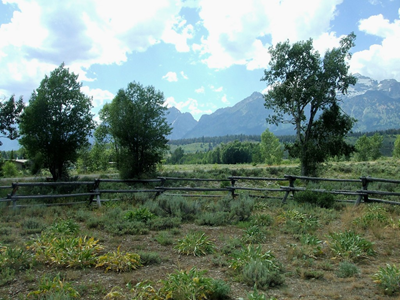 Jackson Hole - July 2010 (102).JPG